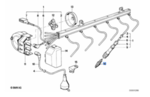 12129065062 - Ignition: Spark Plug for BMW: 850CSi Image