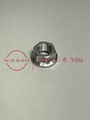 233913NF0A - : M10 Nut Flange Hexagon for Nissan Image