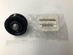 119255CA0C - : Idler Pulley for Infiniti Image
