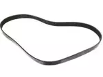 117206TA0A - : Serpentine Belt for Infiniti Image