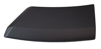 7L1Z16038BPTM - Body: Cover Molding for Ford Image