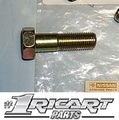 80442401A - : Disc Brake Caliper Bracket Mounting Bolt for Nissan Image