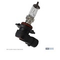 XL3Z13466AA - : Fog Lamp Bulb for Ford Image