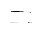 2L1Z78406A11BA - : Back Glass Lift Support for Ford Image