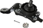 4333039825 - : Suspension Ball Joint (Right, Front, Lower) Toyota Tundra 2006 Genuine Part OEM/New for Toyota: Sequoia, Tundra Image
