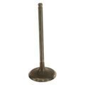 137110F010 - Engine: Intake Valve for Toyota: 4Runner, Land Cruiser, Sequoia, Tundra Image