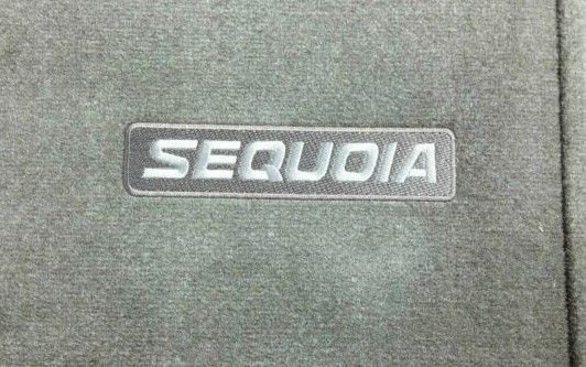 PT2060C03014 - Interior: Genuine Toyota Set of 4 Oak Floor Mats-NEW, OEM for Toyota Image