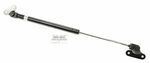 6895060032 - : Hatch Lift Support (Right) for Toyota: Land Cruiser Image