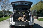 T99C36MA0P - Cargo Management: Pet Cargo Area Protector for Nissan Image