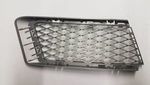 51117154722 - Body: Screen for BMW Image