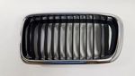 51138231593 - Body: Grille for BMW Image