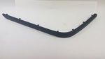 51122498733 - : Molding for BMW Image