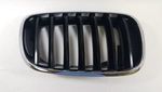 51137157688 - Body: Grille for BMW Image