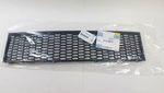 51117903894 - Body: Center Grille for BMW Image