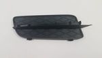 51117159594 - : Outer Grille for BMW Image