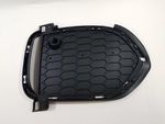 51118064636 - Body: Grille for BMW Image