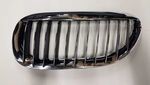 51137077931 - Body: Grille for BMW Image
