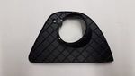51117147525 - Body: Grille for BMW Image