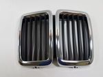 51131873253 - Body: Grille for BMW Image