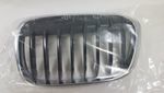 51117383363 - Body: Grille for BMW Image