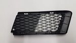 51117154719 - : Lower Bumper Grille, left for BMW Image