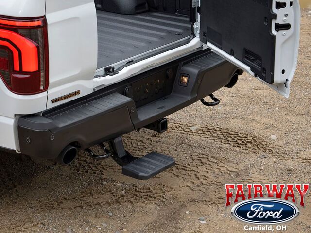 VRL3Z17A958C - Exterior: Step Assembly for Ford: F-150 Image