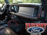 S2DZ78044E42AB - : Passenger Assist Handle - Red for Ford Image