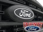 VML3Z8A224B - Exterior: Lighted Ford Oval Front LED for Vehicles for Ford: F-150 Image