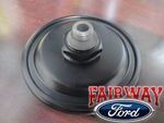 F6TZ9N163AA - Fuel System: Pulse Damper for Ford Image