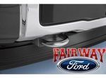 FL3Z17N808A - : F-150 OEM Genuine Ford Parts Chrome Tow Hooks PAIR w/ Hardware for Ford: F-150 Image