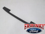 ML3Z9941018AC - Body: Tail Gate Molding for Ford: F-150, F-150 Lightning Image