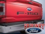 ML3Z9941018A - Body: Applique Panel for Ford: F-150 Image