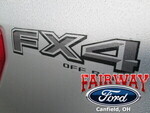 NL3Z9925622B - Body: Decal for Ford: F-150, F-250 Super Duty Image
