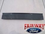 HL3Z1504339AC - : 15 thru 20 F-150 OEM Genuine Ford Carbon Fiber SVT RAPTOR Dash Panel Trim Plate for Ford: F-150 Image