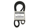 11720ET80A - Cooling System: Serpentine Belt for Nissan Image