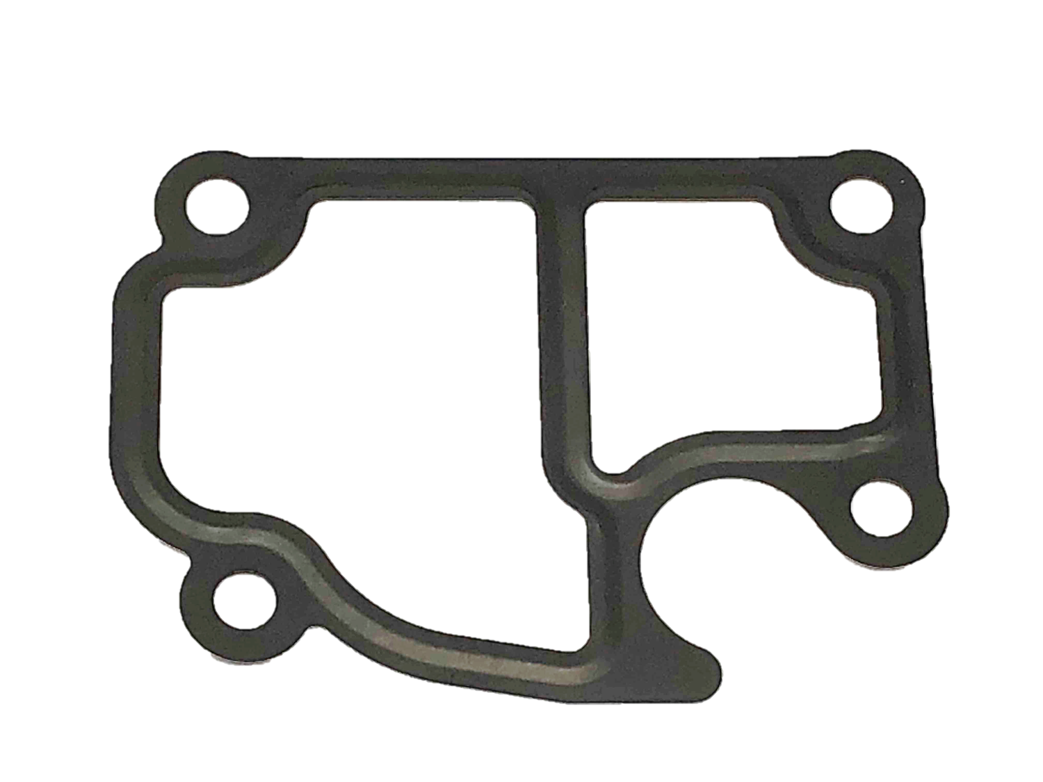 110724M501 - : Thermostat Housing Gasket for Nissan: Sentra Image