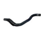215036Z500 - Cooling System: Lower Hose for Nissan Image