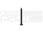 145100061 - Electrical: Park Lamp Screw for Nissan Image
