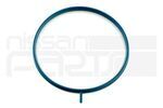 161759BT0A - Fuel System: Fuel Injection Throttle Body Mounting Gasket for Nissan: Frontier Image