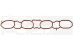 140353RC1A - Fuel System: Manifold Gasket for Nissan: Sentra Image