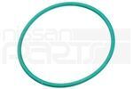 173429TA0A - Fuel System: Fuel Pump Seal for Nissan: Murano, Qashqai, Rogue, Rogue Sport Image