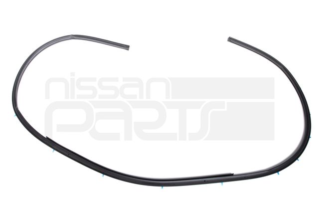 808314Z300 - : FRONT DOOR WEATHERSTRIP (LH) (B15 4/2001+) for Nissan: Sentra Image
