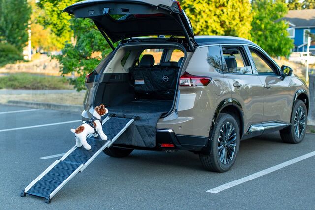 T99H46TA0A - : PET RAMP for Nissan: ARIYA, Armada, Kicks, Kicks Play, Murano, Pathfinder, Qashqai, Rogue, Rogue Sport Image