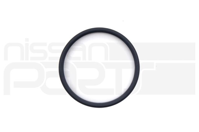 210495CA0A - : WATER PIPE O-RING SEAL (VR30DDTT) (RZ34 Z Q50 Q60 QX80) for Nissan Image