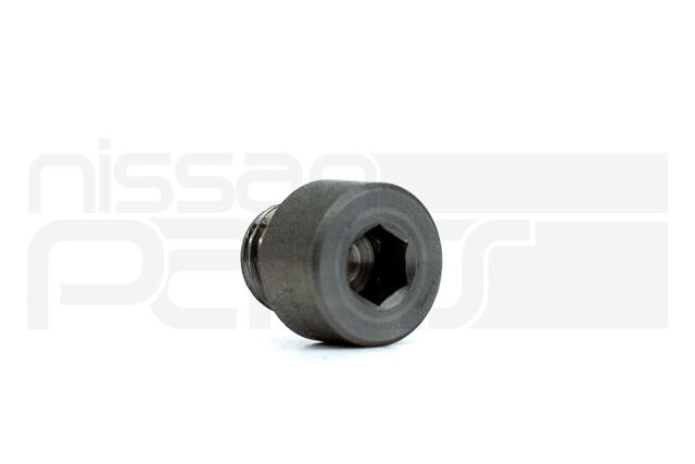 49315EZ00D - : POWER STEERING GEAR BLIND PLUG (A61 F80 WF80) for Nissan Image