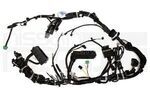 240125MP0B - : UNDERHOOD / ENGINE ROOM WIRING HARNESS (FE0 ARIYA) for Nissan: ARIYA Image