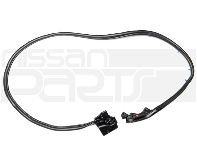 80830CD001 - : Lower Weather-Strip (350Z Z33) for Nissan: 350Z Image