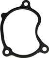 140338J120 - : Engine Intake Manifold Gasket for INFINITI: I35 Image