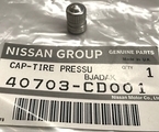 40703CD001 - Suspension: Tire Pressure Monitoring System (TPMS) Valve Stem Cap for INFINITI: FX35, FX45, FX50, G35, M35, M45, Q45, QX56 Image