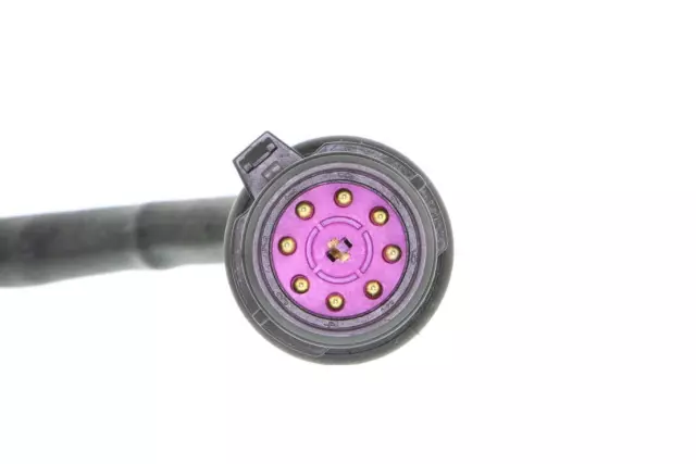 V10730021 - Interior: Neutral Safety Switch for VEMO Image